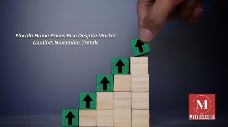 November Trends