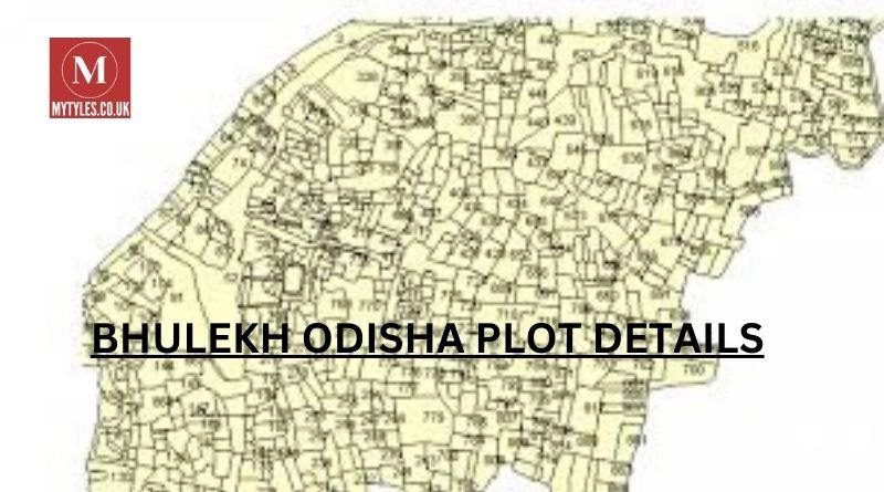 Bhulekh Odisha Plot Details